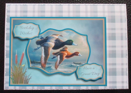 Flying ducks multi purpose card by Davina Rundle