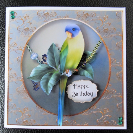 Pretty Parakeet by Davina Rundle