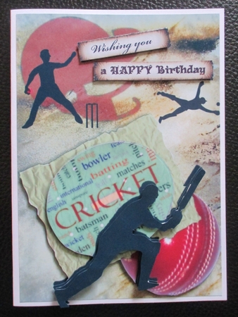 CRICKET step by step by Davina Rundle