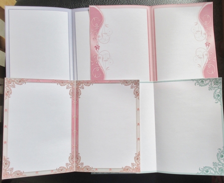 Blank Insert Pack by Davina Rundle