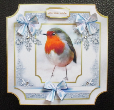 Christmas Robin by Davina Rundle