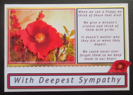 Poppy Thoughts by Davina Rundle