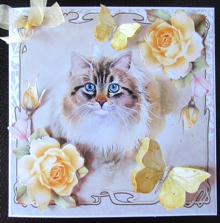 Cat with yellow roses and butterflies by Davina Rundle