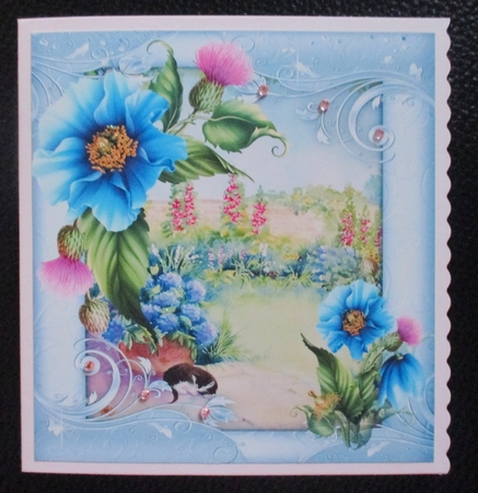Himalayan Poppies in a Ornate Frame  by Davina Rundle