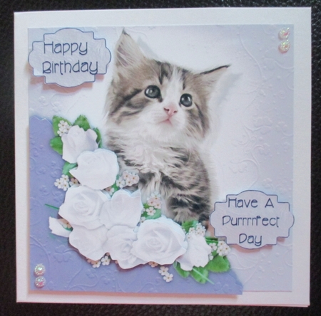 Cute Tabby Kitty with Embossed look and faux Corner Pocket by Davina Rundle
