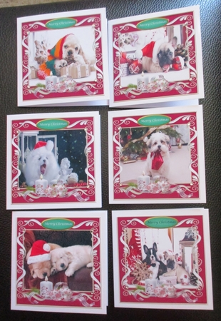Family Christmas 5cardfront by Davina Rundle