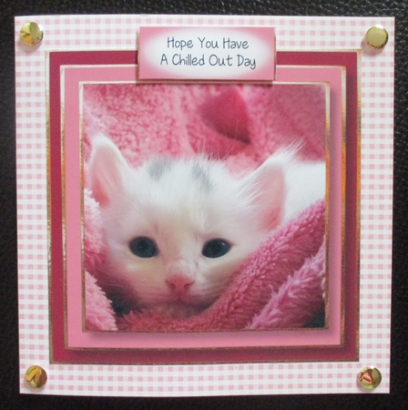 Today...I Want To Kitten 8x8 by Davina Rundle