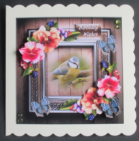 Pansies,bird and butterflies by Davina Rundle