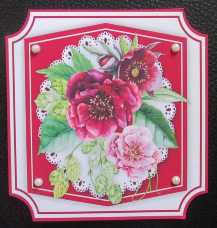 Beautiful Wine Roses on Cut Out Mat  by Davina Rundle