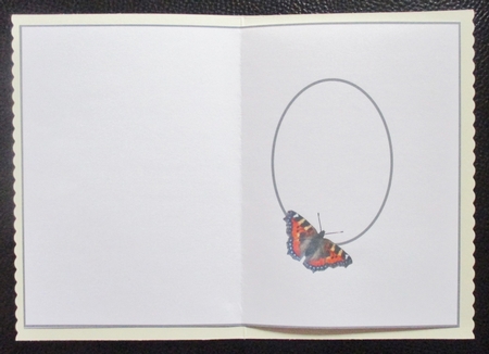 butterfly insert by Davina Rundle