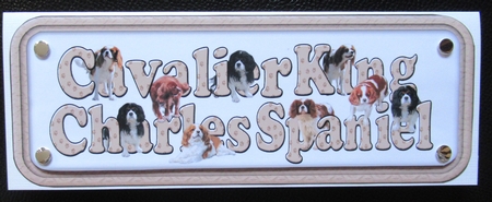 Cavalier King Charles Spaniel Name Sign by Davina Rundle