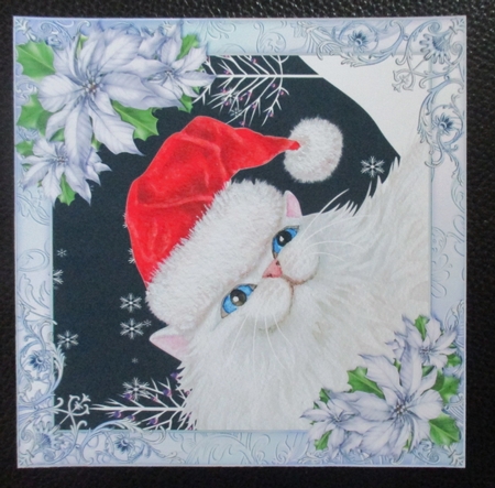 Santa Claws by Davina Rundle