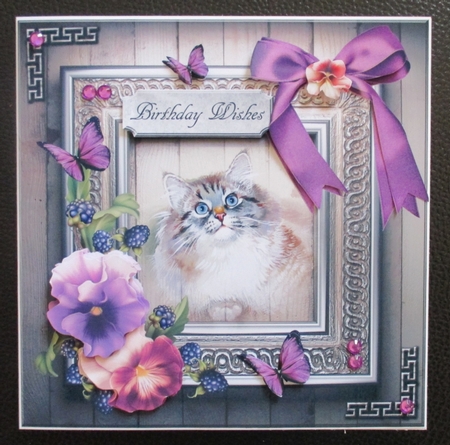 Pansies and a  grey cat by Davina Rundle