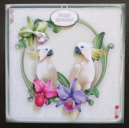 Cockatiels & Orchids - 8 x 8 Card Topper, Decoupage & Greetings Tags by Davina Rundle