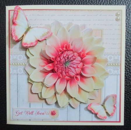 The Flower by Davina Rundle