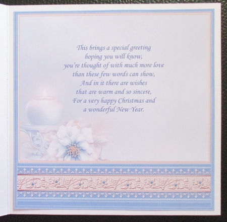 HOLLY RIBBON & FROSTED FLORALS Christmas Inserts Bumper Kit by Davina Rundle