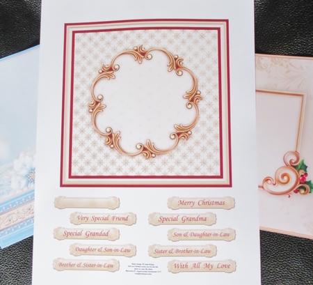 HOLLY RIBBON & FROSTED FLORALS Christmas Inserts Bumper Kit by Davina Rundle