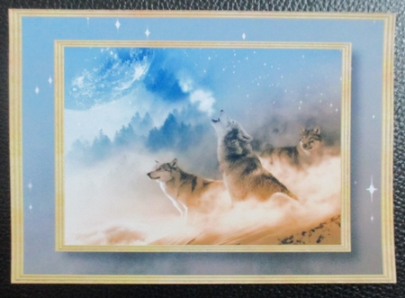 The Howl A5 - Male by Davina Rundle