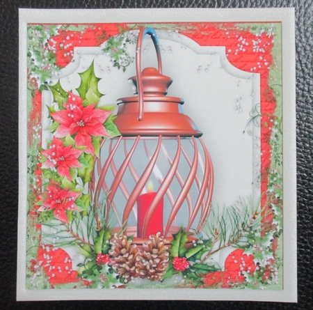 Beautiful Lantern and Poinsettias  by Davina Rundle