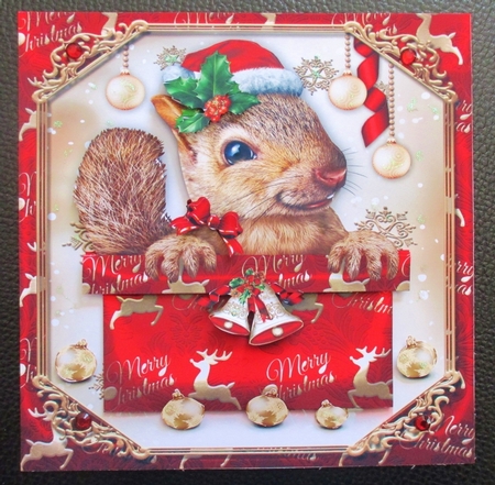 Festive Christmas Box With Squirrel Mini Kit by Davina Rundle