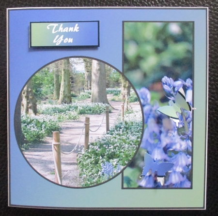 Bluebells by Davina Rundle