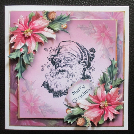 Vintage Pink Poinsettias & Santa by Davina Rundle