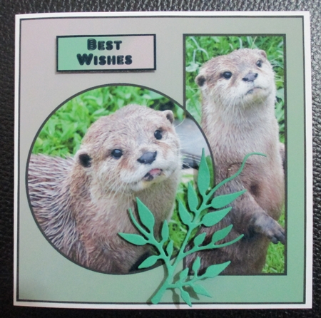Otter by Davina Rundle