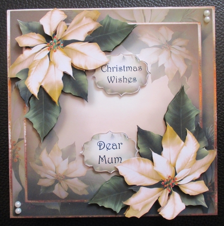 Cream Poinsettias For Christmas by Davina Rundle
