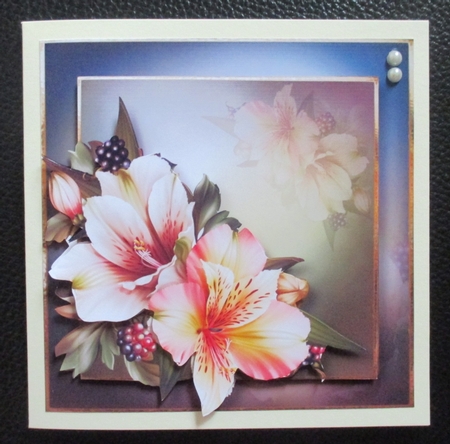 Pretty Peruvian Lily by Davina Rundle