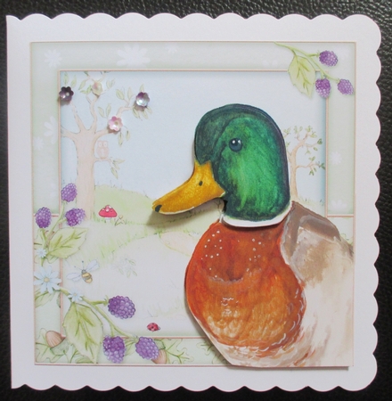 Little Duck by Davina Rundle