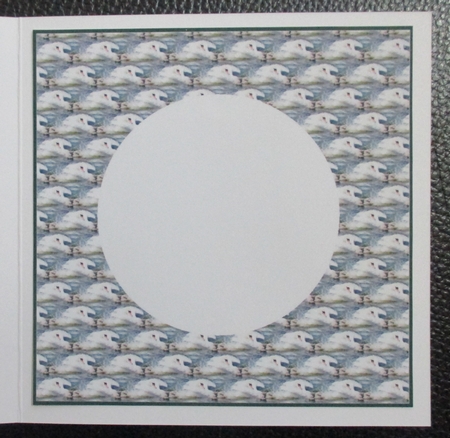 Swan Insert by Davina Rundle