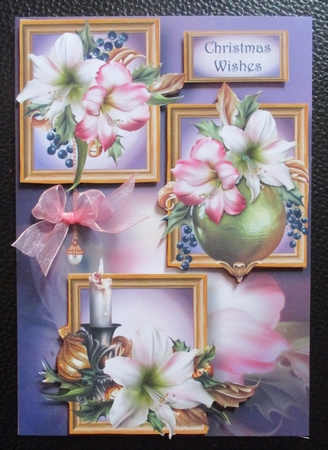 Frame Trio Christmas - Festive Amaryllis by Davina Rundle