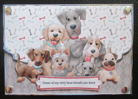 Doggie Best Friends Fancy Scalloped Edge Envelope Card by Davina Rundle
