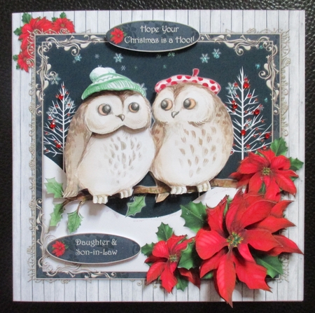 Hope Your Christmas is a Hoot! by Davina Rundle