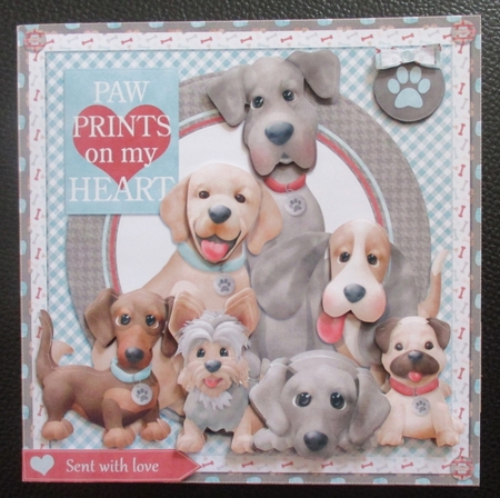 Paw Prints by Davina Rundle