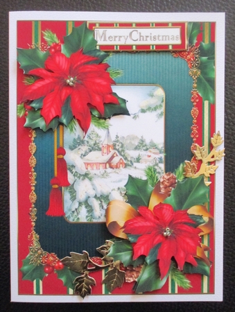 Poinsettia and holly Christmas 2 by Davina Rundle