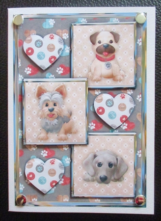 Doggies Three Square Quick Card by Davina Rundle