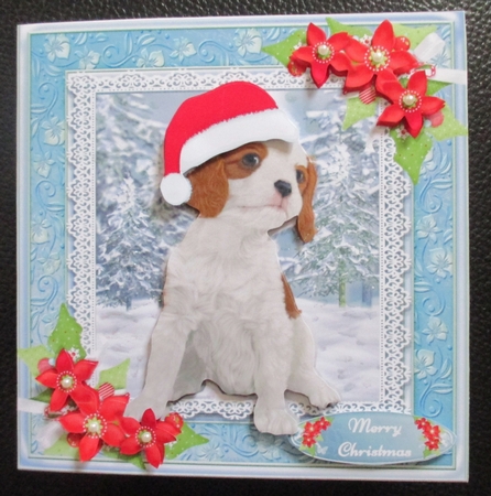 Cute Cavalier With Christmas Flowers 7x7 by Davina Rundle
