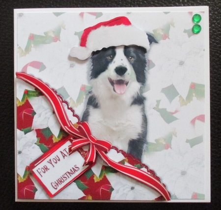 Christmas Dog Faux Corner Pocket by Davina Rundle