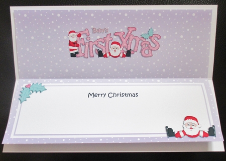 Large DL BABYS FIRST XMAS insert by Davina Rundle