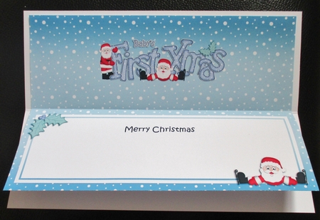 Large DL BABYS FIRST XMAS insert by Davina Rundle