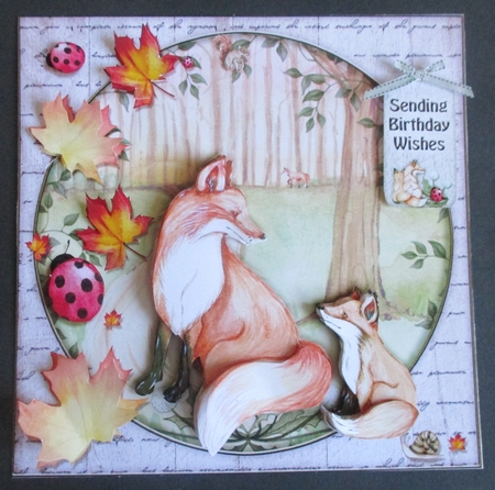 The Fox Cub by Davina Rundle