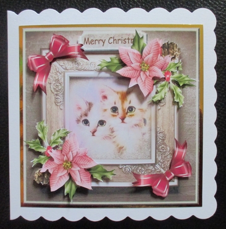 Christmas cats by Davina Rundle