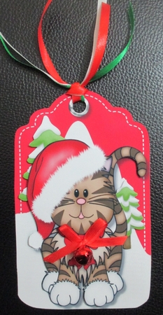 Chritmas Tag Tiger Tiger by Davina Rundle