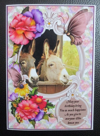 Floral Donkeys by Davina Rundle