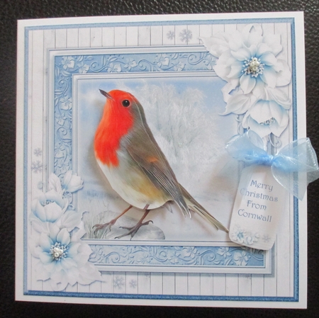 Little Robin by Davina Rundle