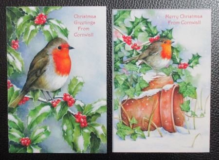 Two lovely A5 christmas card fronts/toppers of robins by Davina Rundle