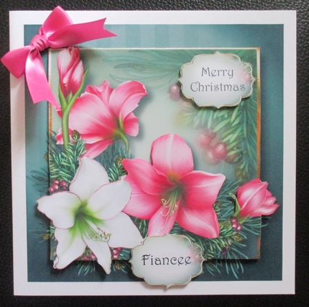 Vintage Christmas Amaryllis  by Davina Rundle