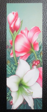 Pretty pink and white poinsettias tall DL by Davina Rundle