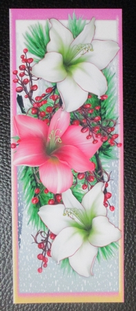 Large DL Festive Amaryllis by Davina Rundle
